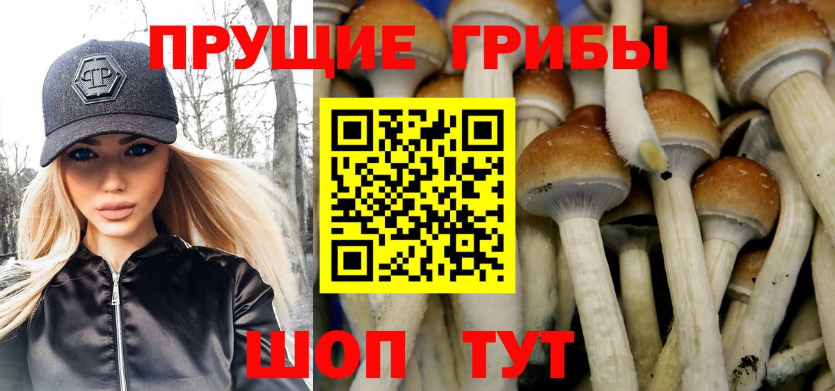Дзержинский  наркошоп  Галлюциногенные грибы Cubensis  Вход с VPN  Галлюциногенные грибы мицелий 